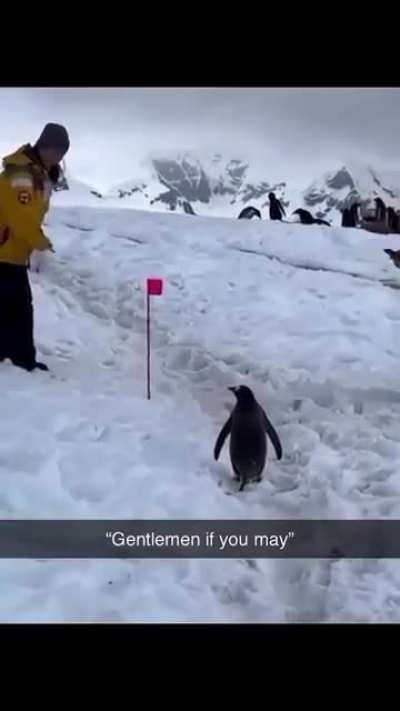 If you may please