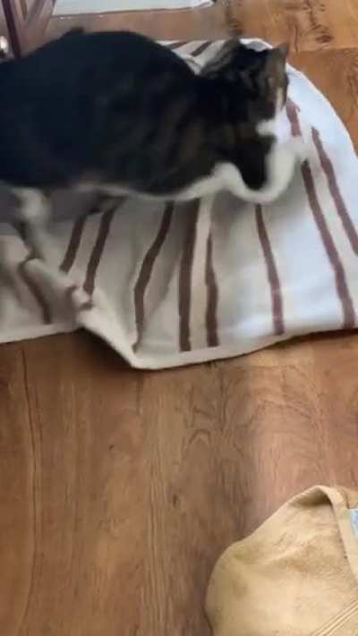 Why the towels end up on the floor