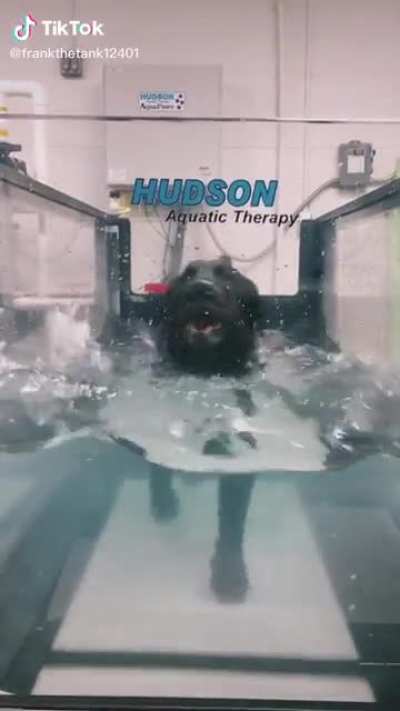 Aquatic therapy