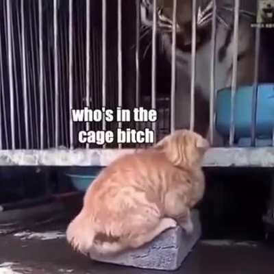 Whoopin ...