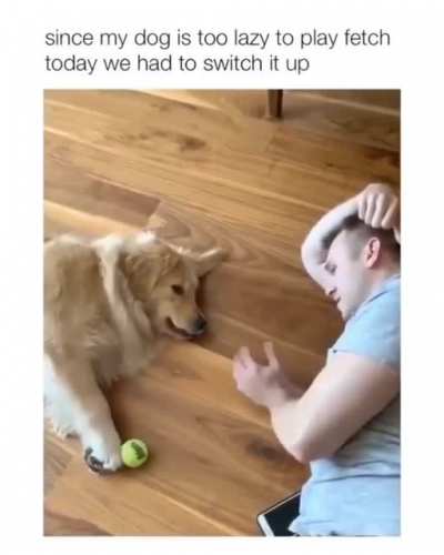 Lazy doggo