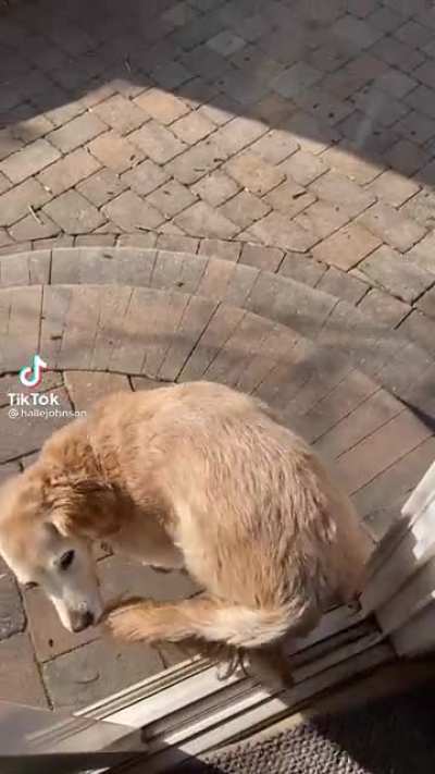 Spinny boy