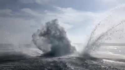 "Maybe they'll jump"