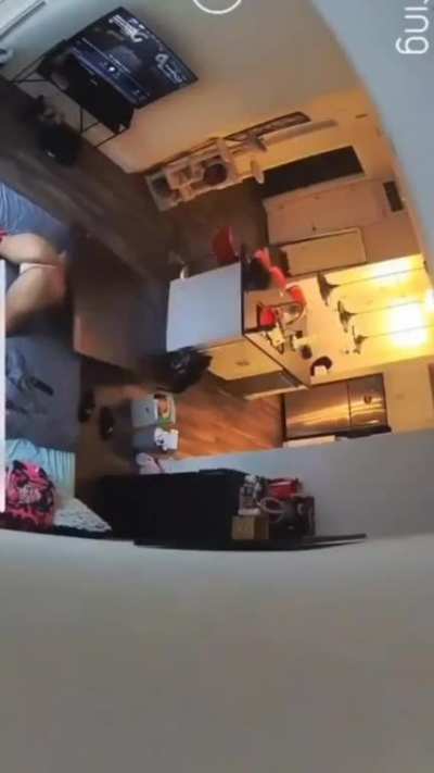 Cat bonked her horny ass??