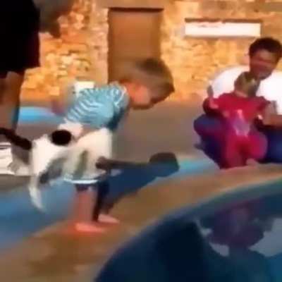 WCGW You go swimming kitty