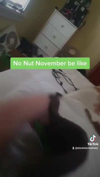 NNN is a struggle