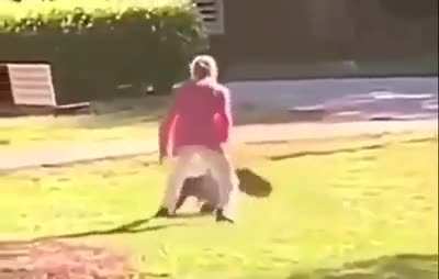 Unexpected chaos in the park