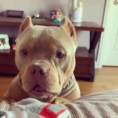 Just a big baby ?