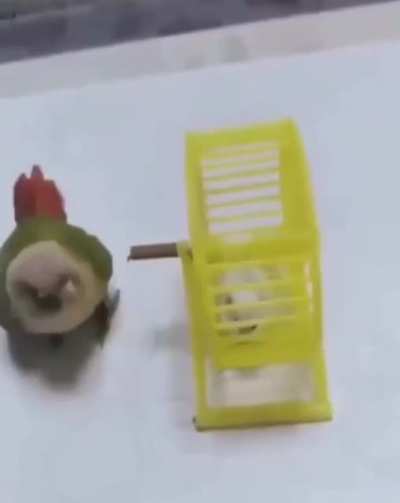 Maybe Maybe Maybe