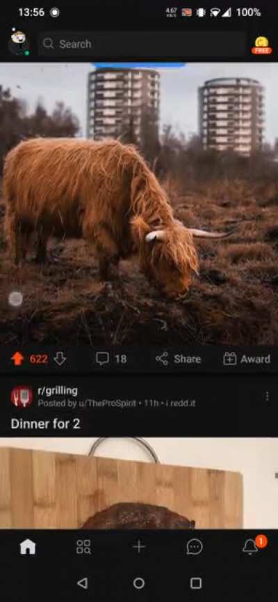 I love reddit?