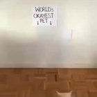 Yes.