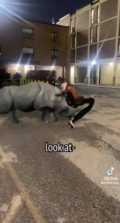 oh no