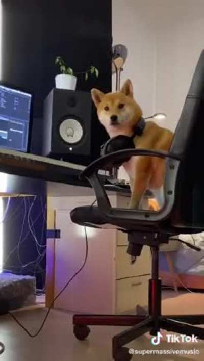 Time to buy my dog a keyboard too?