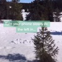 Wow, what an amazing trick ?