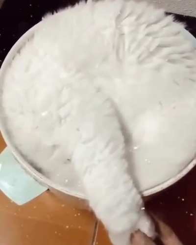perfect fit
