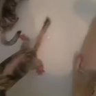 Just... relax man