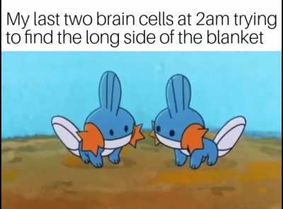 continues to sleep under the bed