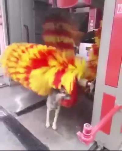 Smarter than most humans