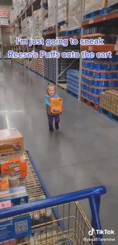 I don't think they see me...