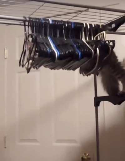 Just Hangin’ Out