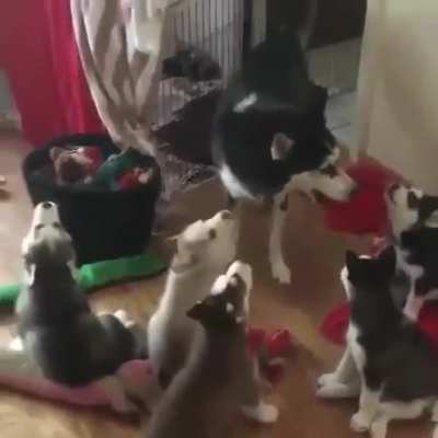Giving her baby a howling lesson!