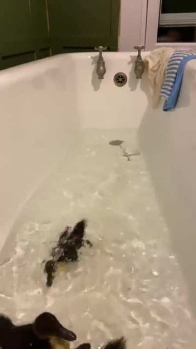 Bath before bed zoomies