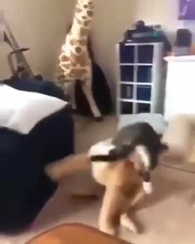 ??????
