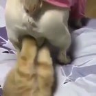 "What's this?"