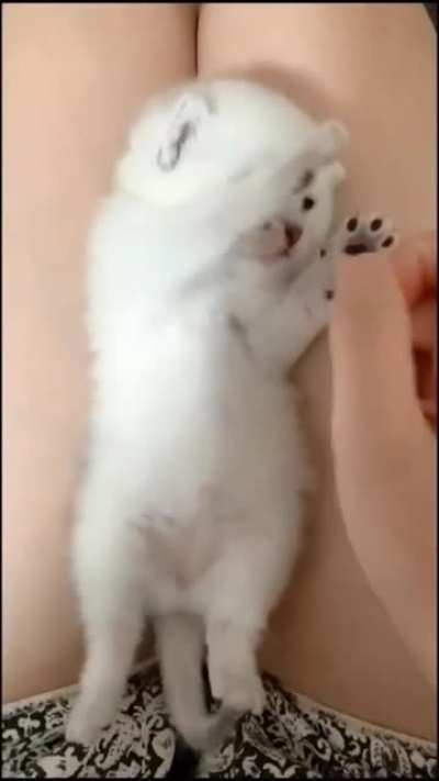 Wakey Wakey