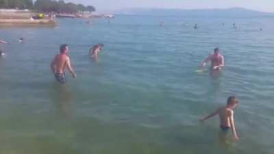 To throw a frisbee