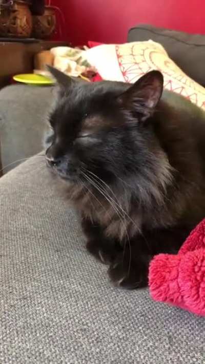 Kevin has hiccups