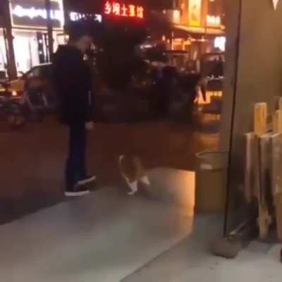 He's walking here.