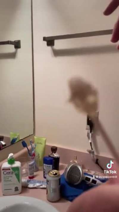 Homemade nose hair removal ?