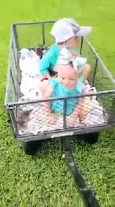 Just a wagon full of kittens and babies! Update from the yesterday’s 13 rescued kittens.