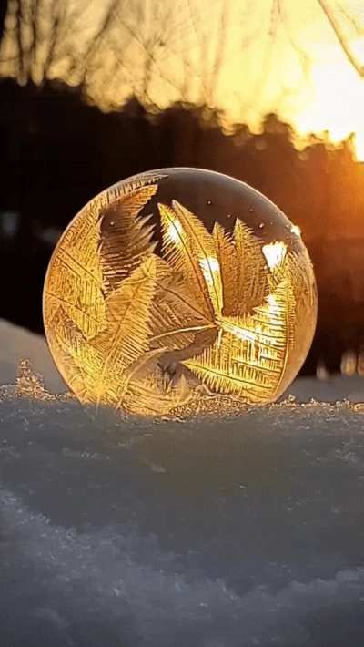 ? Magical footage of a bubble freezing at -15°C