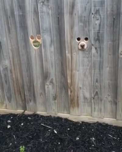 Hello.
