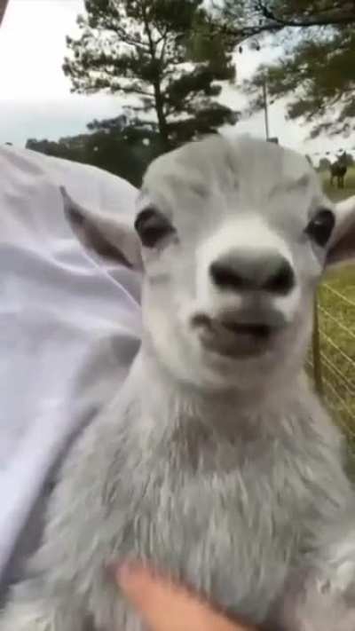 Ahhhh