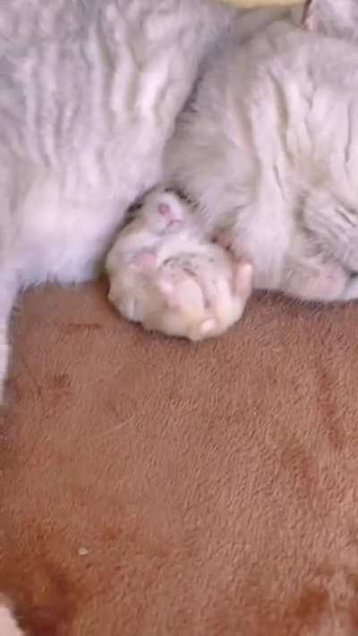 they're good friends ?