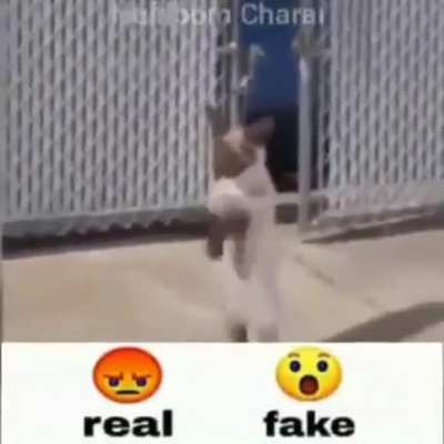 OP on Facebook made the reactions to the fake vote a "Wow" face to bait positive votes
