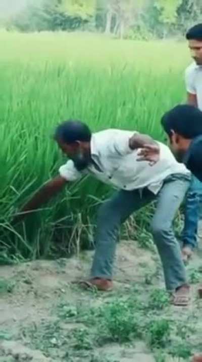Careful men, it's a big one.. ?