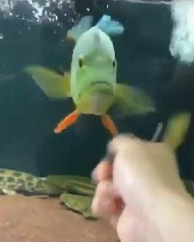 Maybe maybe maybe