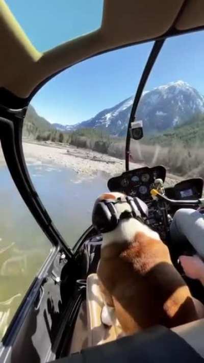 Helicopter Ride on the river (feat. a special friend)