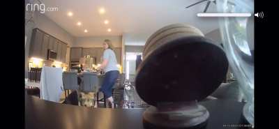 What Could go Wrong not looking where you step (Sound On)