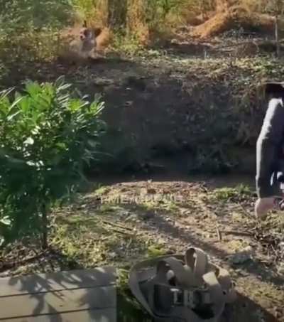Always look ahead before you jump