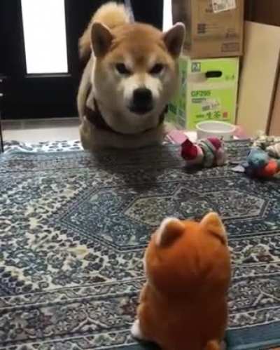 Don’t answer me you little Sh!t!!