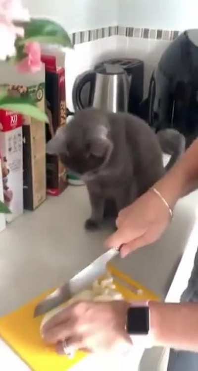 "You eat this stuff?!"