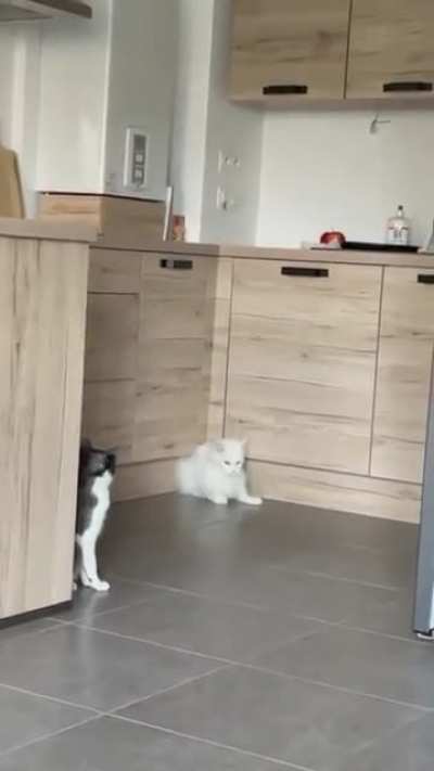 ,