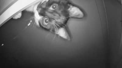 CCTV camera captures something out of place