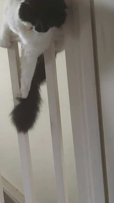 Just hanging out