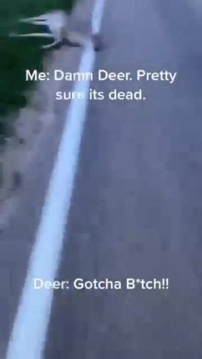A dead deer tells no tales.